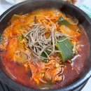도토리 강아지 유치원 이미지