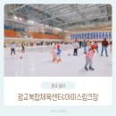 고릴라짐 광교1호점 | 광교복합체육센터 주차 및 아이스링크 이용방법 7살 인생 첫 스케이트타기 : )
