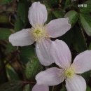 상록원 - 서초구 강남대로 27 | 상록원