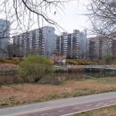 비산화성파크드림 이미지