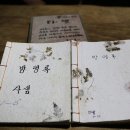 다샘 이미지
