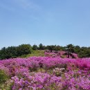 솔방울 산악회 제43차 거창 월여산 기암.철쭉꽃 산행안내 이미지
