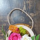 스칸디아모스 작품 만들기 이미지