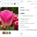 화림플라워