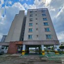 표선리-31 이미지