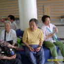 월평경로당 Daum카페