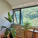 짱 노래연습 이미지