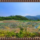 청량산쉼터민박 이미지