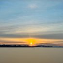 우정매향 이미지