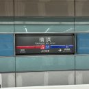 하하호호 미술관 | 요코하마 당일치기, 선업튀 도쿄팝업, 네즈미술관, 모리미술관, 하나야마우동, 스즈카케 딸기모찌