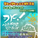 더호프데이 Daum카페
