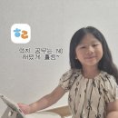 잼수학 | 놀이처럼 시작하는 수학, 홀링 체험 후기📚