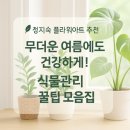 정지숙플라워아트