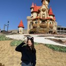 해운대로813(광로) | [부산여행] 뚜벅이 2일차 : 부산롯데월드 대성공 후기, 애슐리 퀸즈