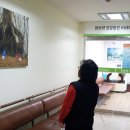 서울특별시강서구보건소 이미지