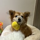 개어비앤비 이미지