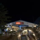 미미애견 | 인천 애견동반카페 카페미미 솔직후기|맛있는 음료와 귀여운 강아지들 🐾