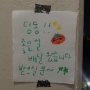 (주)조강랜드 | [일상] 일기는 미뤄쓰는거죠 원래 ? (5월의 효니)