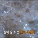 브래드05