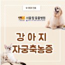 24시 서울 탑 동물병원 이미지