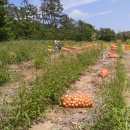 창희네 농장 이미지