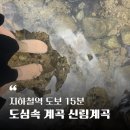 수락리입구 클린하우스 | 지하철역 도보 15분! 아이랑 가기 좋은 도심 속 계곡 신림계곡 다녀온 후기