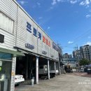 프로카 정비 이미지