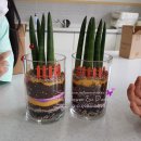 대구감삼초등학교 이미지