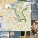 새마을로1L-4 | 호주 시드니 이색여행 블루마운틴 셀프 트래킹 그랜드캐년 워킹트랙 후기 (기차,버스 이동 정보포함)