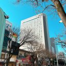 퀸사우나 | 나고야 호텔 추천 | 힐튼 나고야 퀸 디럭스룸 업그레이드 사우나 이용 후기