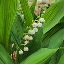 아름다운농장비밀의화원 이미지
