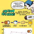 슈가24