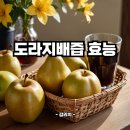 녹색 갈증 | 도라지배즙 효능 | 도라지배즙이란 | 영양성분 : 기침 가래 기관지 목염증