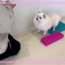 털로덮인친구들 수원시청역점 이미지