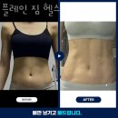 플레인짐 이미지