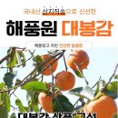 대봉상회 이미지