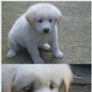PC구조대 이미지
