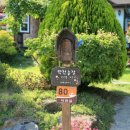 김순남 농장 이미지