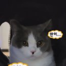 남원한증원 이미지