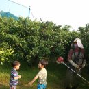 손자농장 이미지