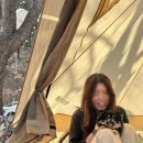 홍천펜션&글램핑캠프별이빛나는밤 이미지
