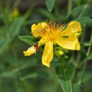 뜨락농원 이미지