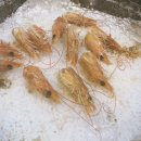 동부회센타 이미지