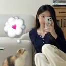 엔젤상사 | 고양이 탁묘 캣시터 후기 : 옹쓰와의 9박 10일, 엄마가 된 기분이 이런 기분일까나 🐱💭💟