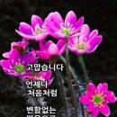 우리 함께 살기 위하여 이미지