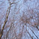 퇴미2공원2 이미지