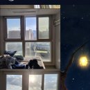 신안동9 이미지