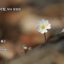 이른봄의 서정 Daum카페