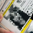 소공원 어린이공원(어28) | 2026 호주 여행 | 멜버른 D+1 | 시드니에서 멜버른 환승, 멜버른 시내 주요 관광지 구경 하기!