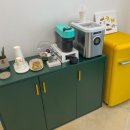 대구 고양이 미용 밀꼬냥 이미지